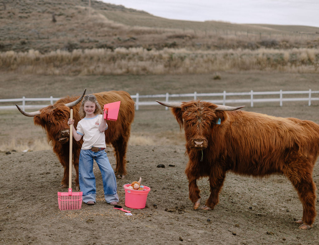 Featured Favorites – Random Road Ranch