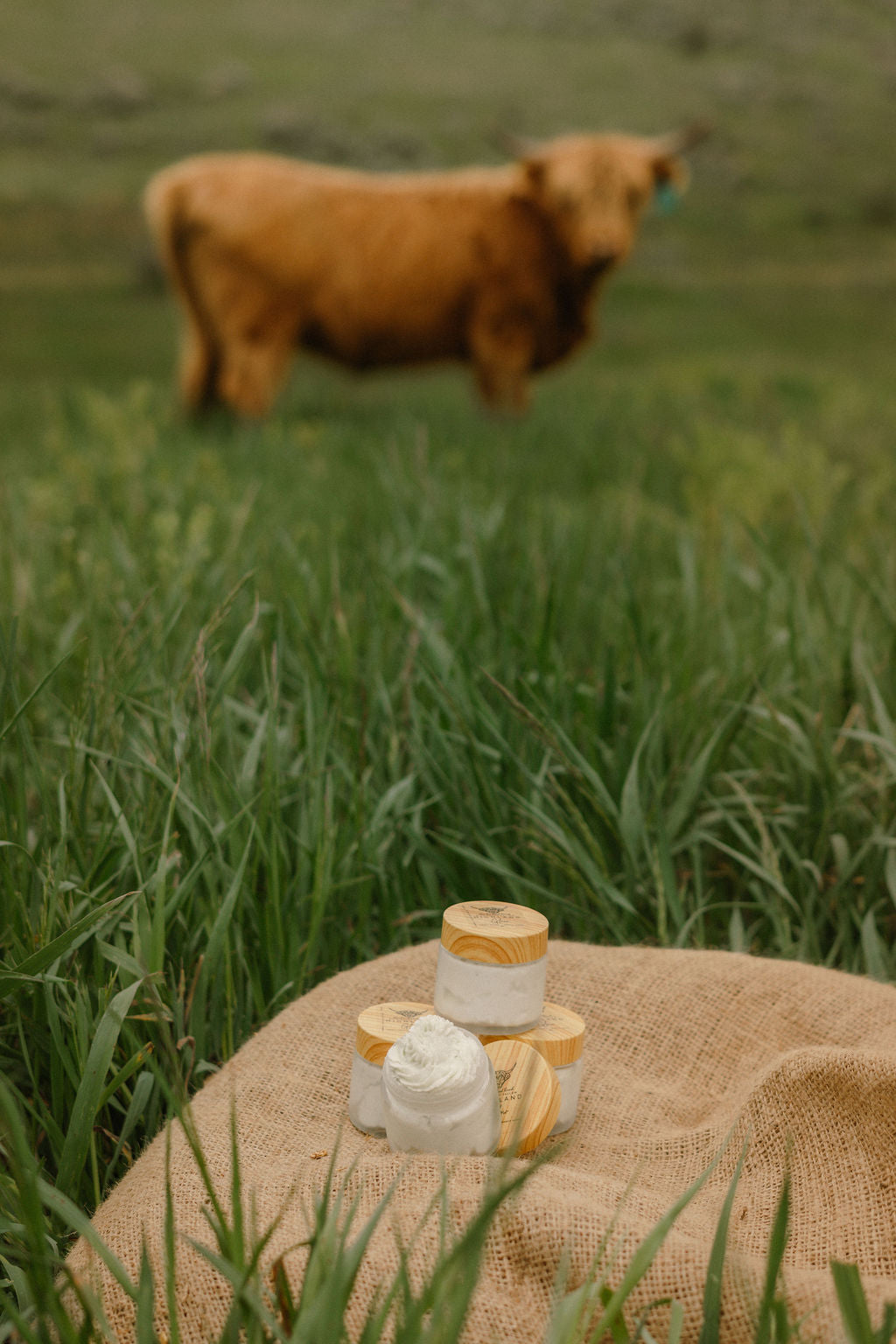 Highland Glow™ Blue Tansy Whipped Tallow Balm