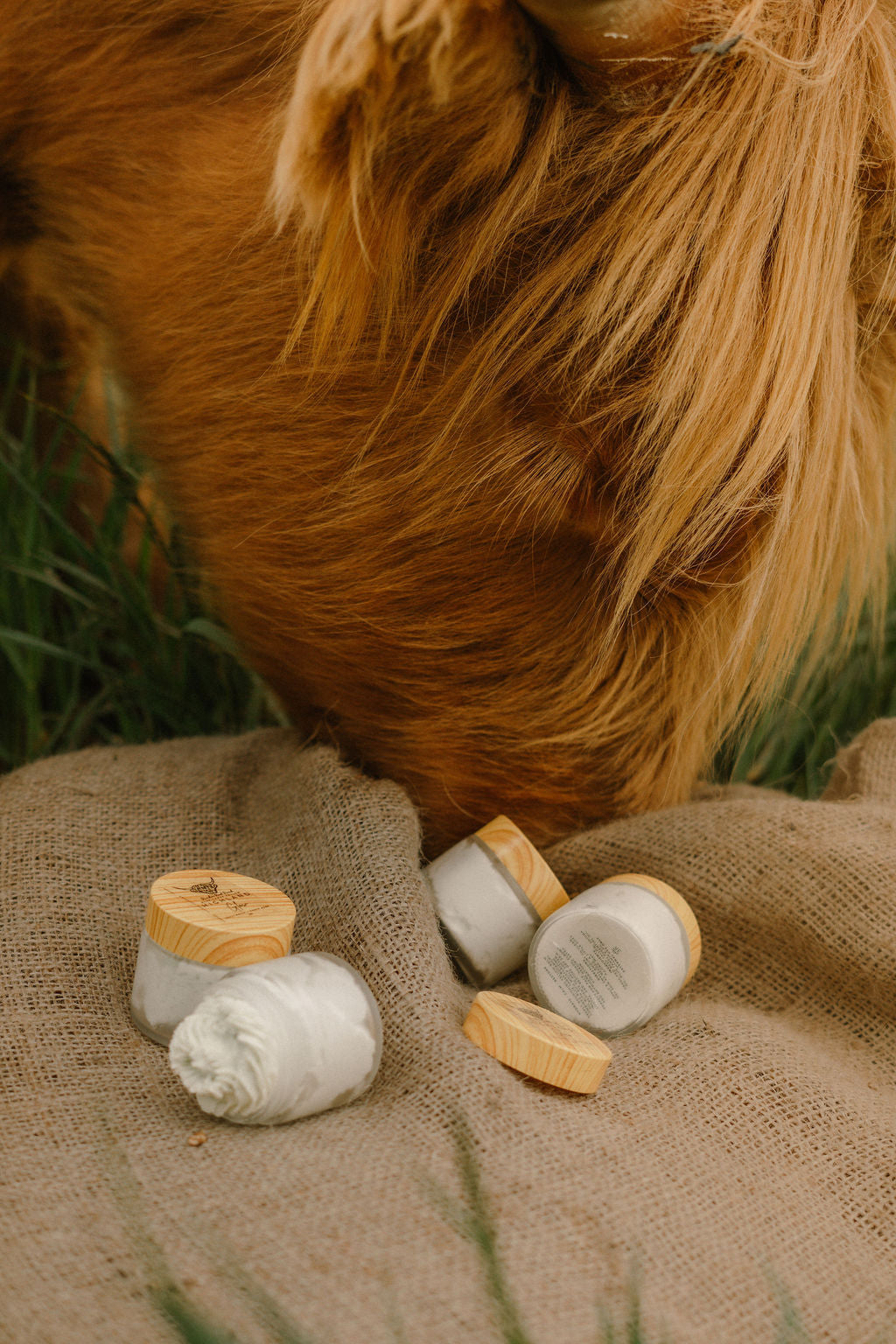 Highland Glow™ Blue Tansy Whipped Tallow Balm