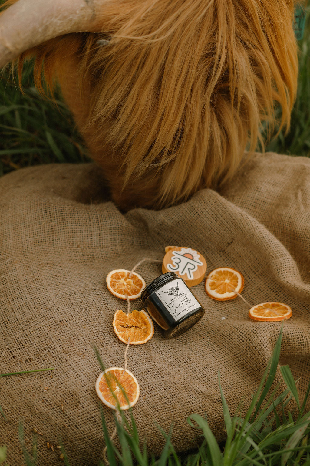 Sunset Tallow™