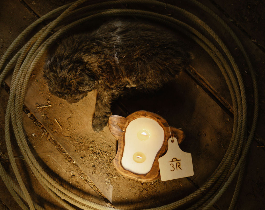 Highland Cow Dough Bowl Candle