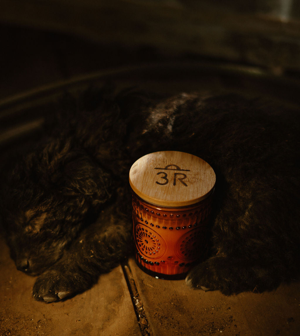 Cedarwood & Amber Candle