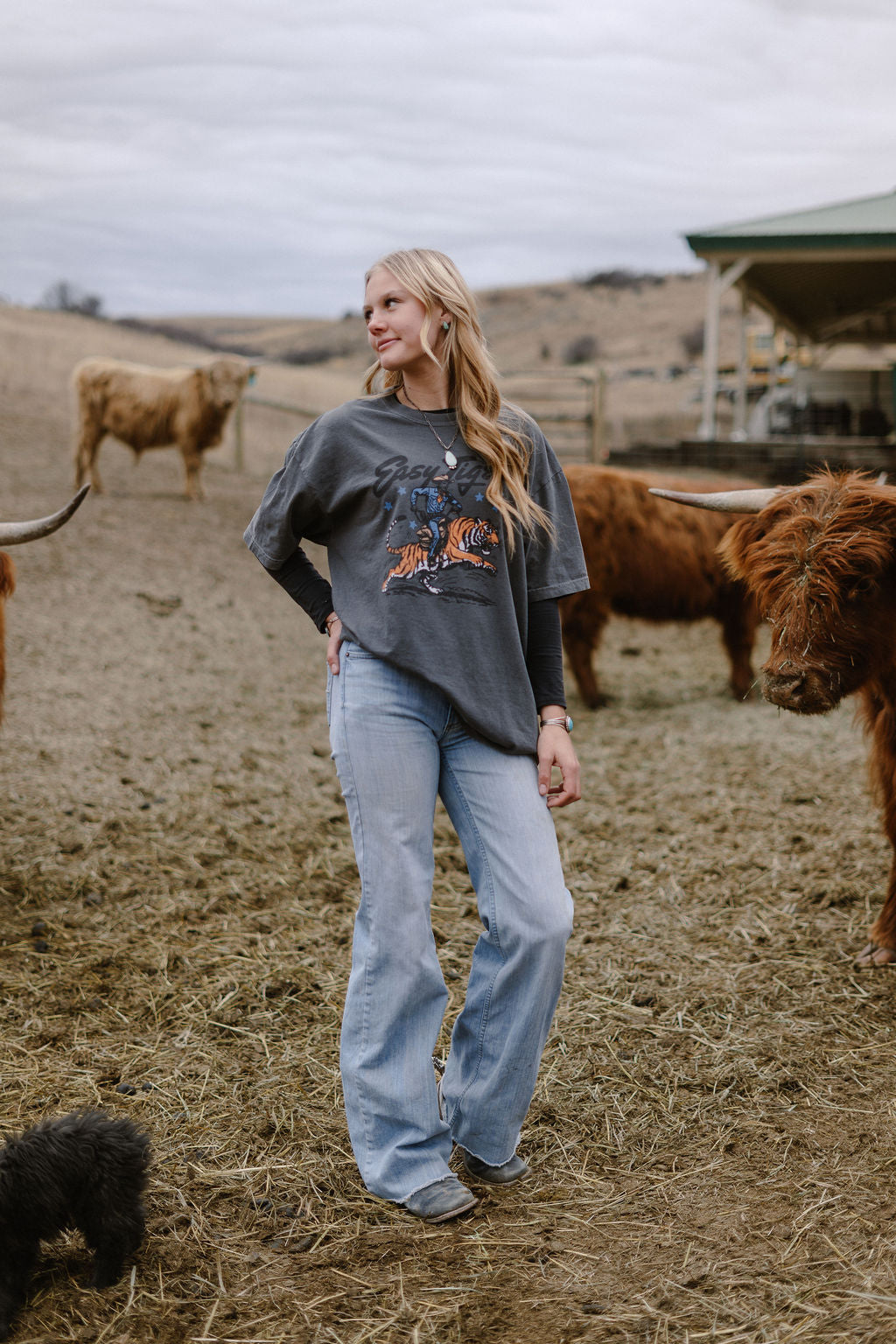 Hayden Tigers Graphic Tee