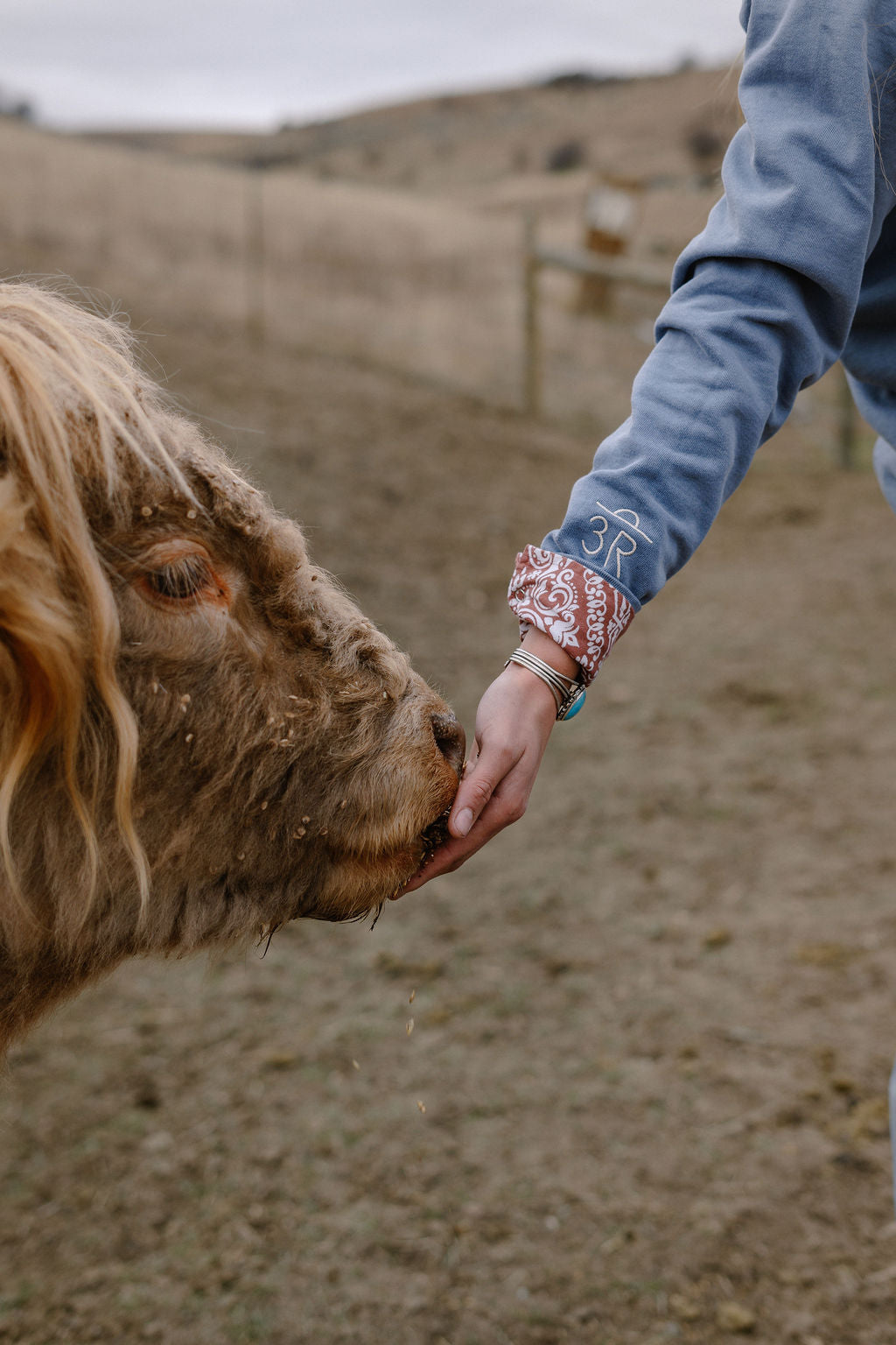 Embroidered Highland Crewneck