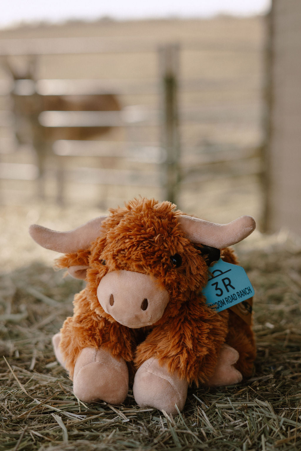 Highland Cow Plush – Eco-Friendly 3R Ranch Pal