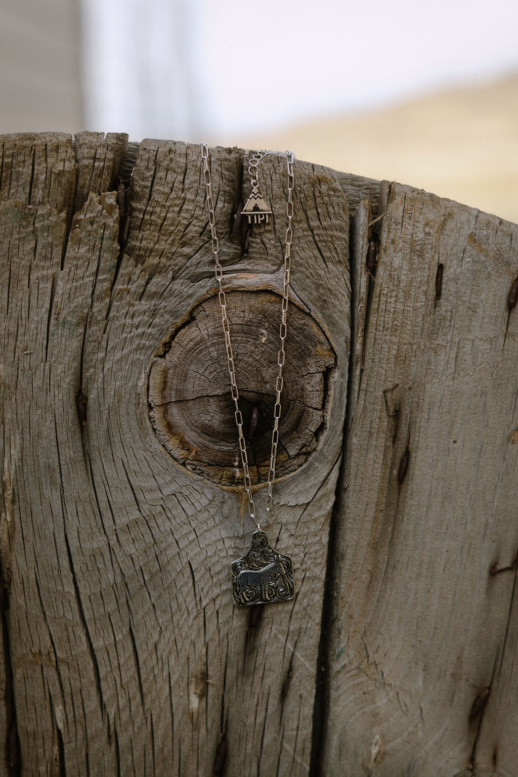 Western Donkey Pendant Necklace