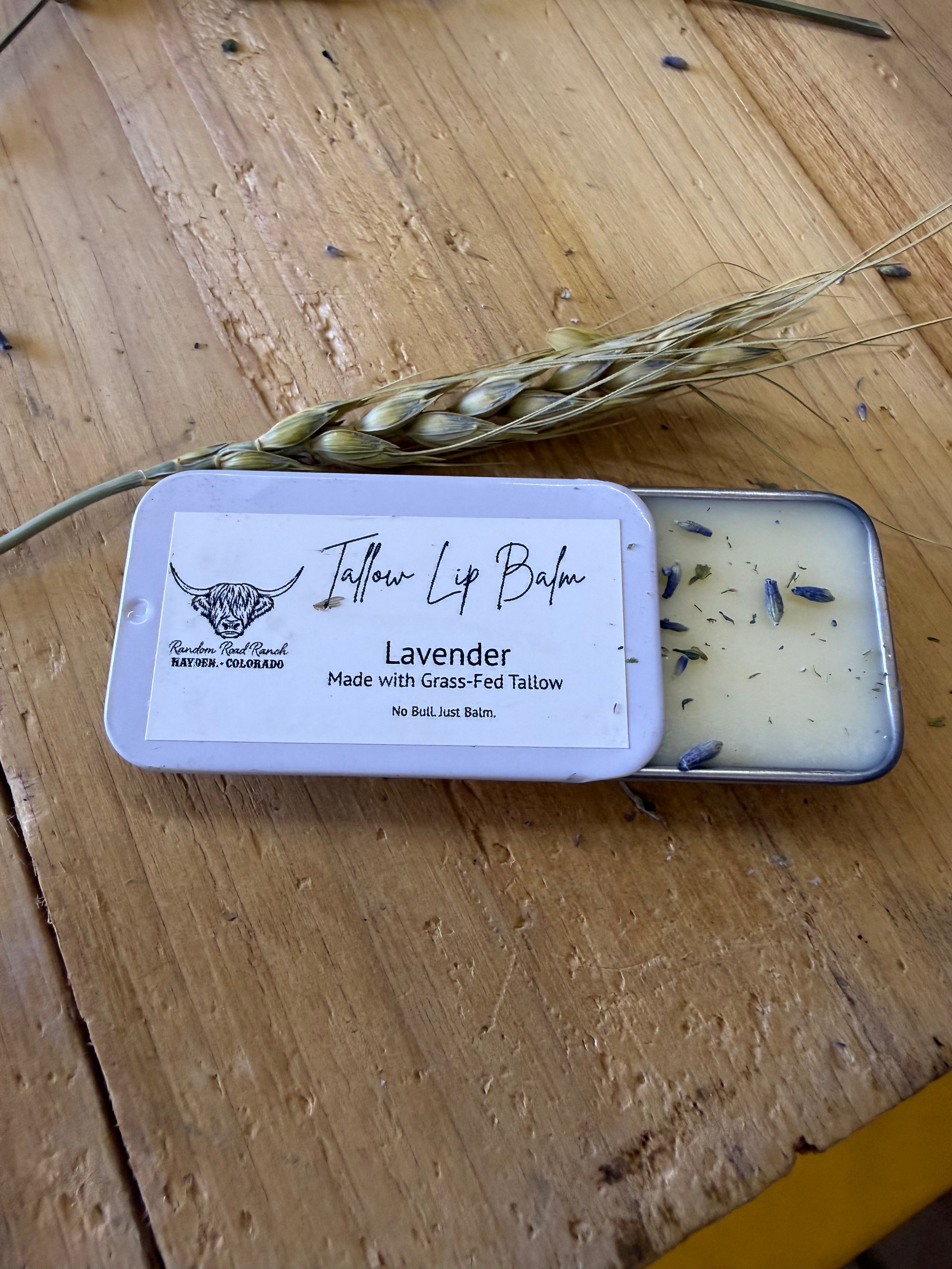 Tallow + Lavender Lip Balm